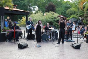 Live band performing outdoors on a brick patio with trees and audience in the background, under a shaded structure.